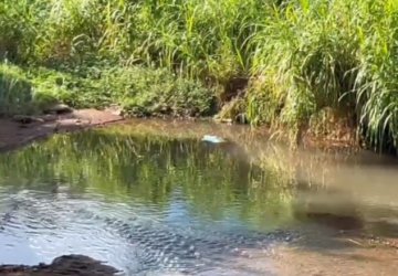 Homem encontrado morto no Ecopark seria morador do bairro Quebec