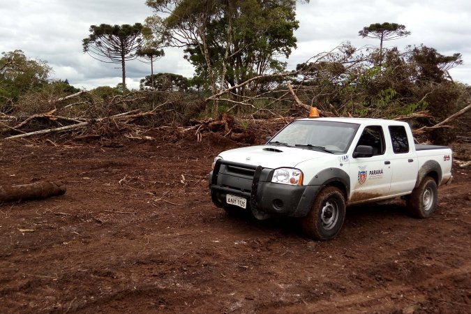 Com descontos e parcelamentos, Estado regulamenta Refis Ambiental