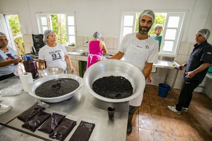 Açaí juçara vira oportunidade de renda para comunidades caiçaras no Litoral