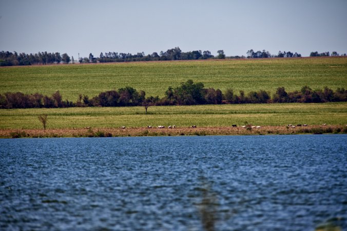 Quatro comitês de bacias hidrográficas se reúnem para discutir a gestão da água no Paraná