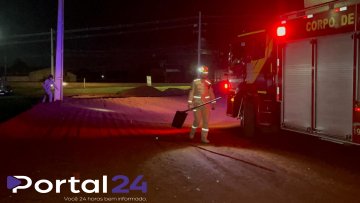 Princípio de incêndio em área de mata mobiliza bombeiros às margens da BR-277, em Cascavel