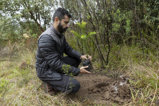 Sanepar já plantou 250 mil árvores nativas no entorno do Reservatório Miringuava