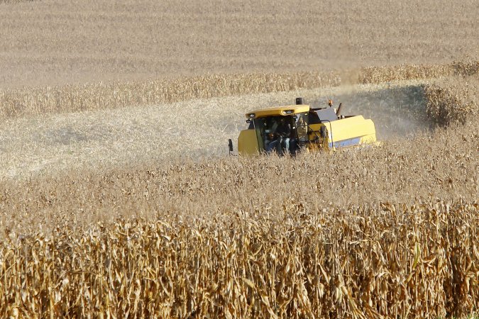 Paraná desponta como novo polo de etanol de milho com salto de 71% na produção 