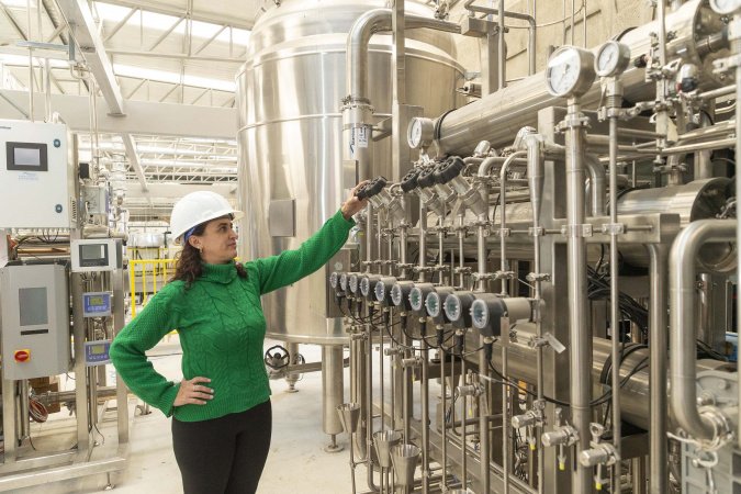 Tecpar inicia pesquisa para produção de insumos para diagnóstico da brucelose