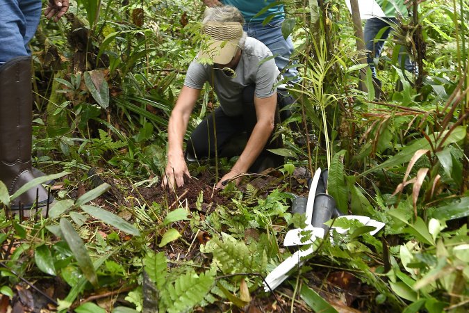 Plantio de mudas, trilha sensorial e mutirão agitam a Semana do Meio Ambiente