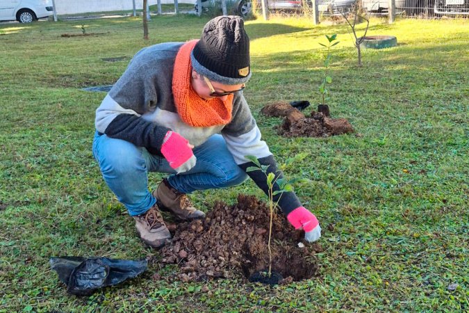 Hospital Infantil de Campo Largo ganha floresta terapêutica para auxiliar recuperação de crianças
