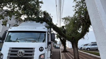 Árvore cai sobre caminhão no centro de Cascavel