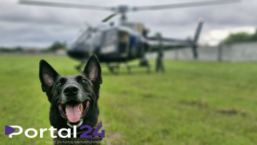 Cães farejadores ajudam PCPR a apreender armas e haxixe na Rodoviária de Curitiba