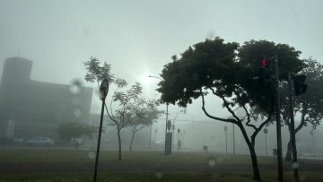 Cascavel amanhece coberta pela neblina e inicia junho com frio e tempo firme