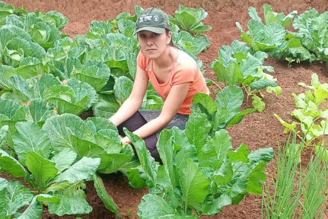 Segurança alimentar e renda: IDR-Paraná implanta hortas domésticas em Campo Largo
