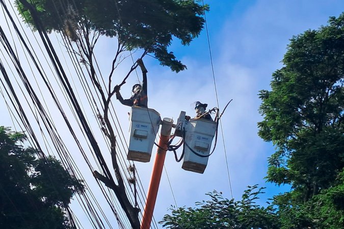 Copel realiza mutirão de poda preventiva em Cornélio Procópio e Rolândia neste domingo