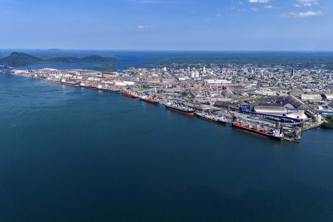 Entre navios e manguezais, biodiversidade de peixes se destaca na Baía de Paranaguá