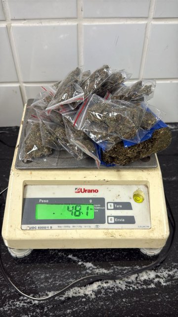GM apreende maconha e cocaína escondida na praça do Floresta