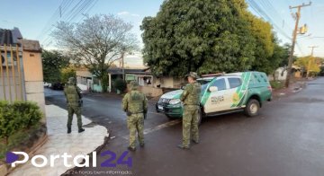 Onça que viralizou nas redes é encontrada em Foz do Iguaçu