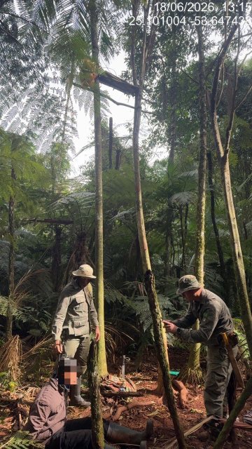 PF e ICMBio prendem caçador armado dentro do Parque Nacional do Iguaçu