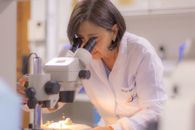 16 programas de pós-graduação das universidades estaduais têm padrão de excelência internacional