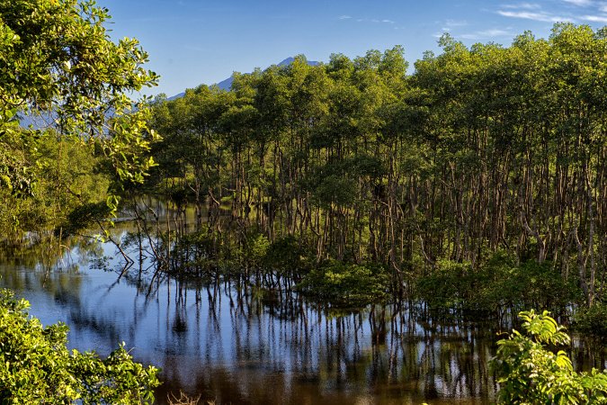 Do mangue ao sítio arqueológico: parques estaduais são abrigos da natureza paranaense