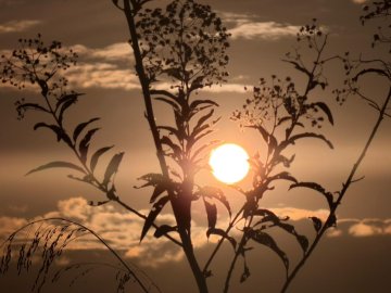 Sexta-feira terá sol, tempo firme e máxima de 24°C em Cascavel
