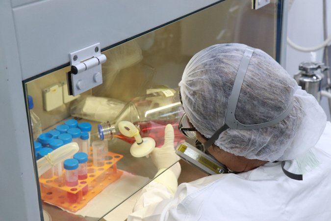 Tecpar amplia estratégias para abordagem que integra saúde humana, animal e ambiental