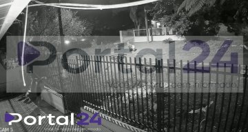 Homem é flagrado com porco após suspeita de furto e troca por droga em Cascavel