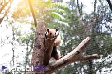 Zoológico de Cascavel amplia dias de visitação durante férias escolares