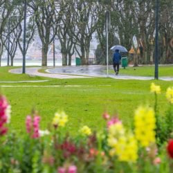 Novembro é marcado por três tornados e chuva acima da média no Paraná