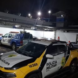 Motociclista morre em colisão frontal na PRC-487, em Luiziana