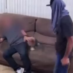 Cachorrinha tenta alertar família e ajuda a desvendar assalto em Foz do Iguaçu; suspeitos são presos e bens recuperados