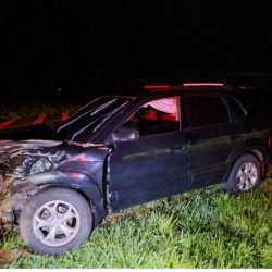 Motorista atropela boi solto na pista na PR-182, em Maripá