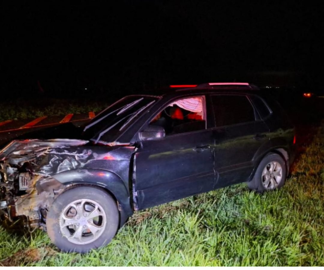 Motorista atropela boi solto na pista na PR-182, em Maripá