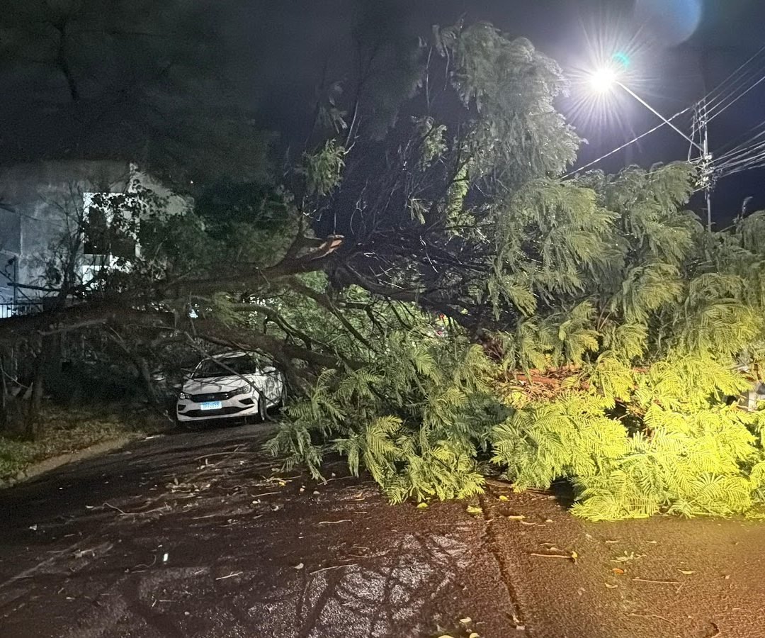 Temporal provoca quedas de árvore e destelhamento em Cascavel