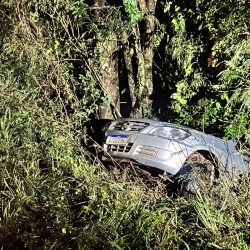 Motorista perde controle de veículo e colide contra árvore na PR-495, em Marechal Cândido Rondon