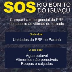 PRF Paraná lança campanha para arrecadar doações às vítimas de tornado em Rio Bonito do Iguaçu (PR)