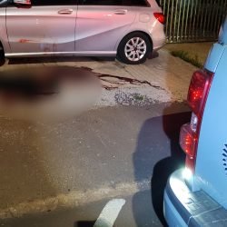 Rottweilers voltam a atacar no bairro Tropical; um cão foi morto pela polícia