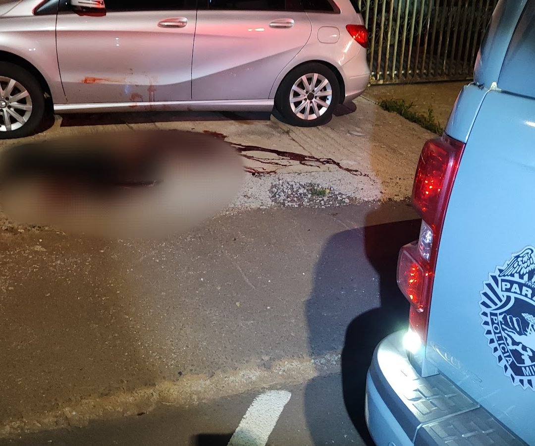 Rottweilers voltam a atacar no bairro Tropical; um cão foi morto pela polícia