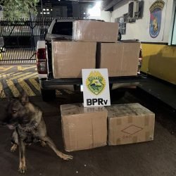 Polícia apreende carga de cigarros eletrônicos avaliada em R$ 350 mil na BR-277, em Cascavel