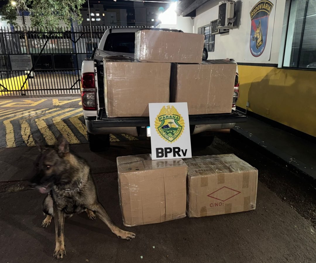 Polícia apreende carga de cigarros eletrônicos avaliada em R$ 350 mil na BR-277, em Cascavel