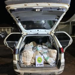 PM apreende veículo carregado com agrotóxicos contrabandeados em Assis Chateaubriand