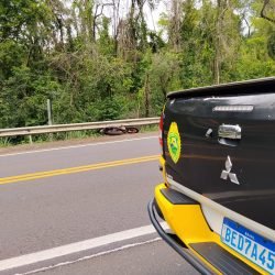 motociclista morre após sair da pista em Iretama