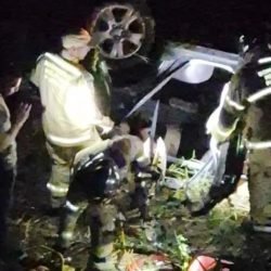 Atropelamento de capivara causa acidente e deixa cinco feridos na PR-986, em Rolândia