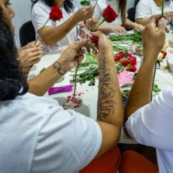 Mulheres privadas de liberdade preparam rosas que serão entregues no Dia da Mulher