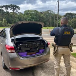PRF apreende 360 quilos de maconha e recupera veículo com registro de furto, em Guarapuava