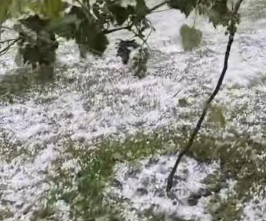 Internautas registram queda de granizoem Mato Rico