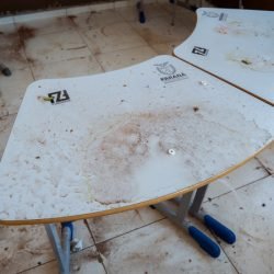 Aulas são retomadas gradualmente nas escolas estaduais de Rio Bonito do Iguaçu