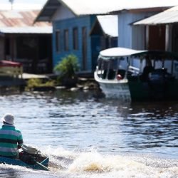 Para especialistas, comunidades devem participar de decisões da COP30