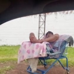 Homem é flagrado tirando cochilo dentro de carrinho de supermercado em Cascavel