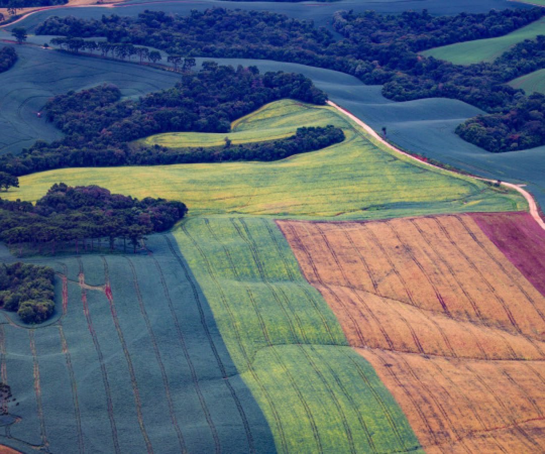 TRF4 mantém vitória do Paraná sobre legislação ambiental e dá segurança aos agricultores