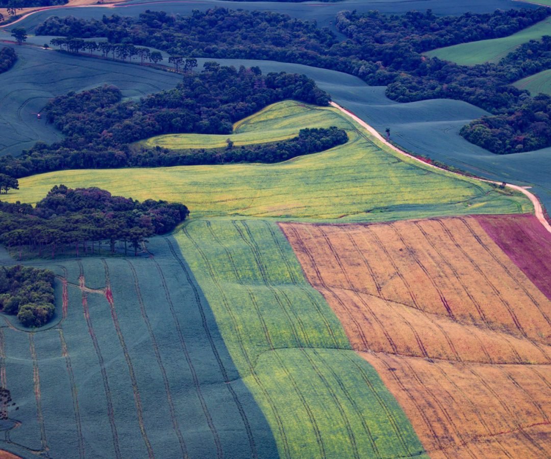 TRF4 mantém vitória do Paraná sobre legislação ambiental e dá segurança aos agricultores