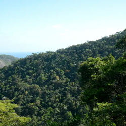 1762497518_meioambiente.png