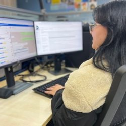 Chatbots desenvolvidos pela Celepar ampliam atendimento em sites do Governo